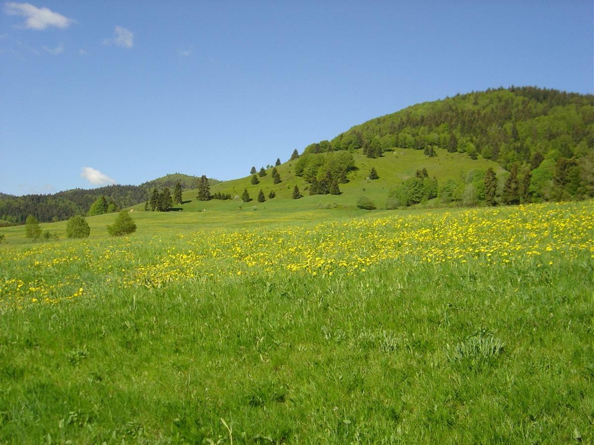 Ferienwohnungen Panoramablick Bernau im Schwarzwald Zewnętrze zdjęcie